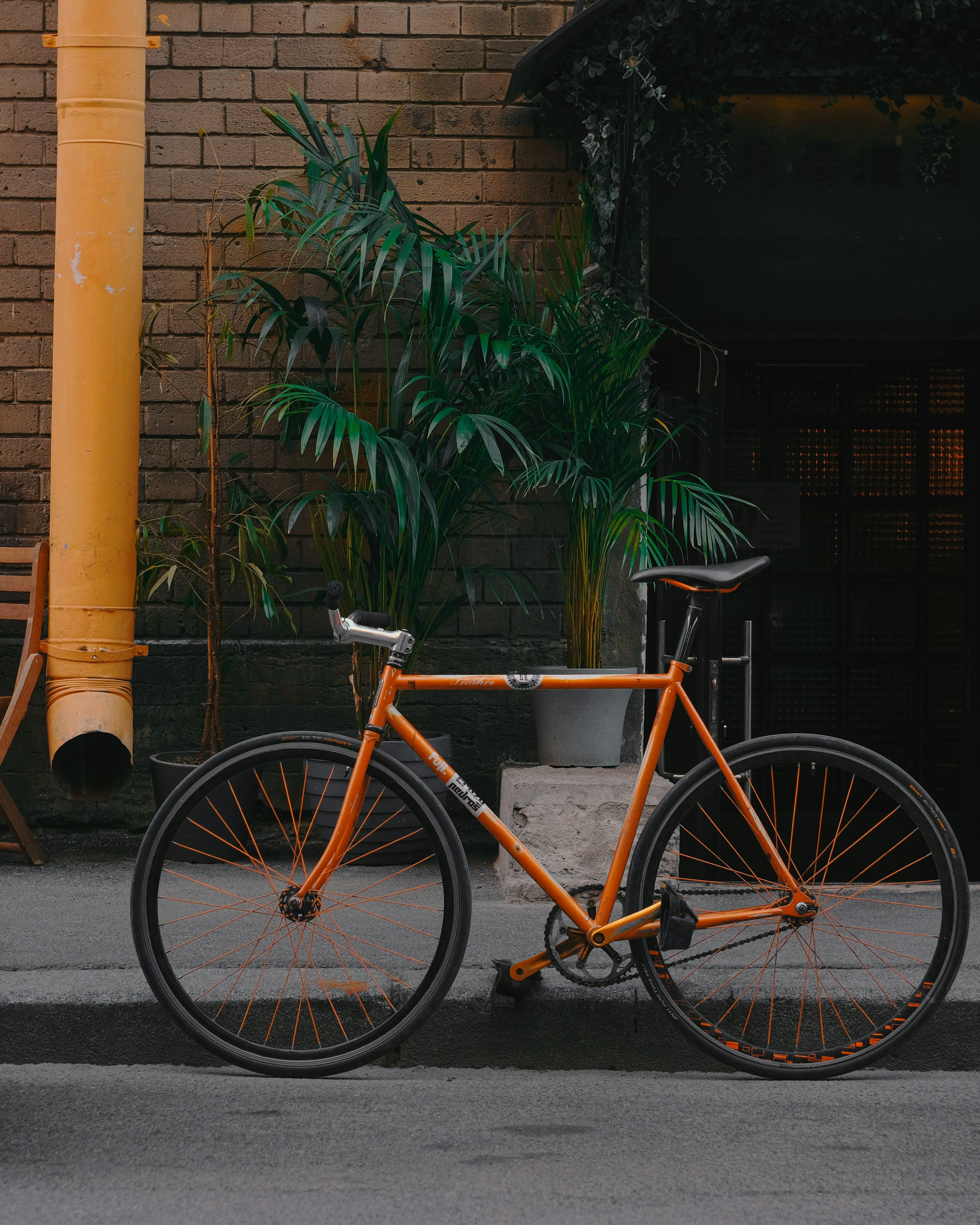 yellow city bicycle parked beside green palm plant